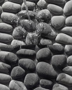 Le Tapis de Bain Galet